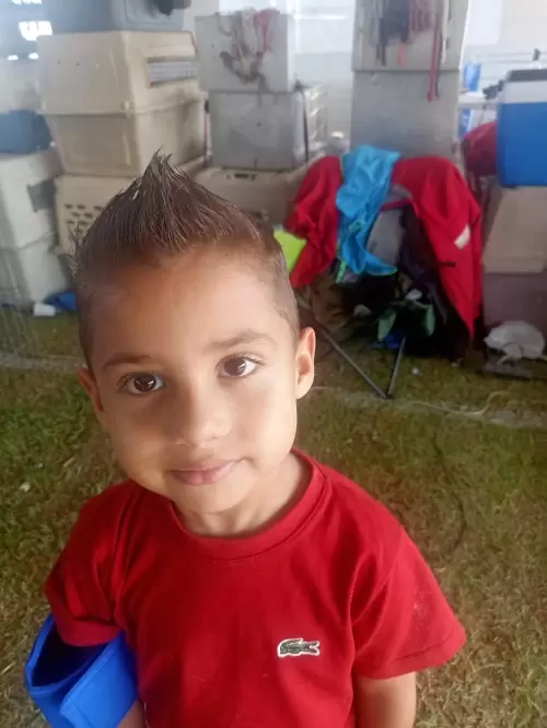 FILHOS EM AÇÃO
