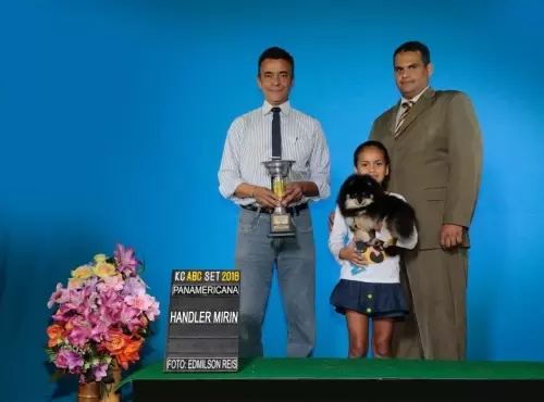 FILHOS EM AÇÃO