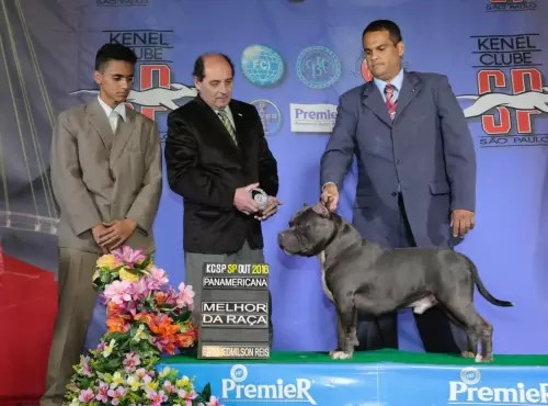FILHOS EM AÇÃO