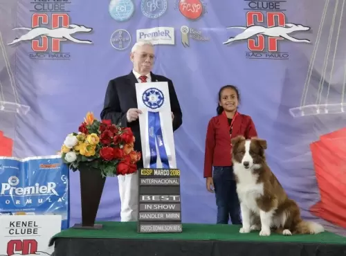 FILHOS EM AÇÃO