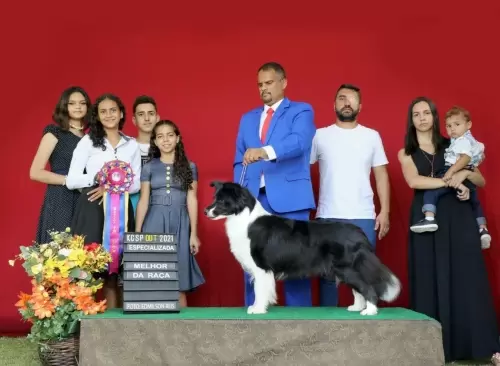 FILHOS EM AÇÃO