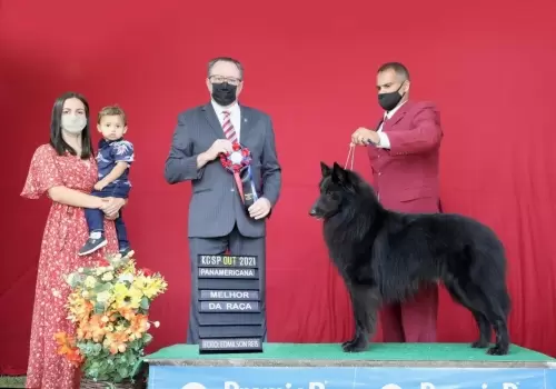 FILHOS EM AÇÃO