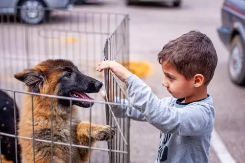 FILHOS EM AÇÃO