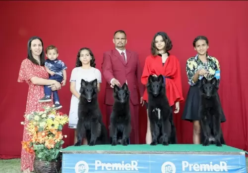 FILHOS EM AÇÃO