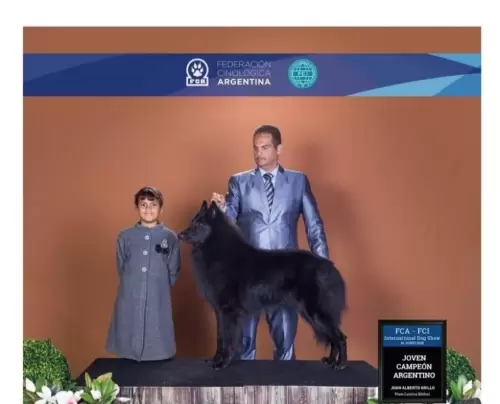 FILHOS EM AÇÃO