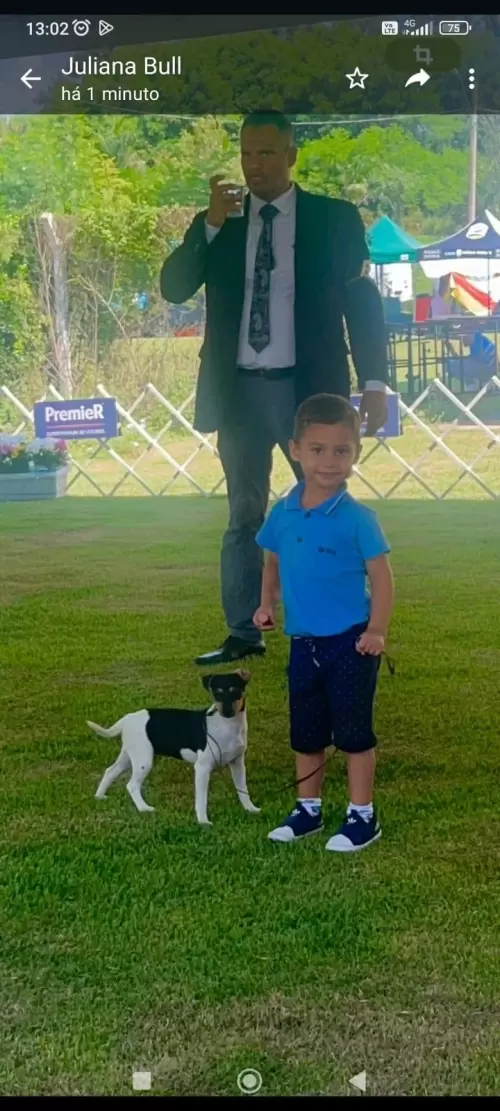 FILHOS EM AÇÃO