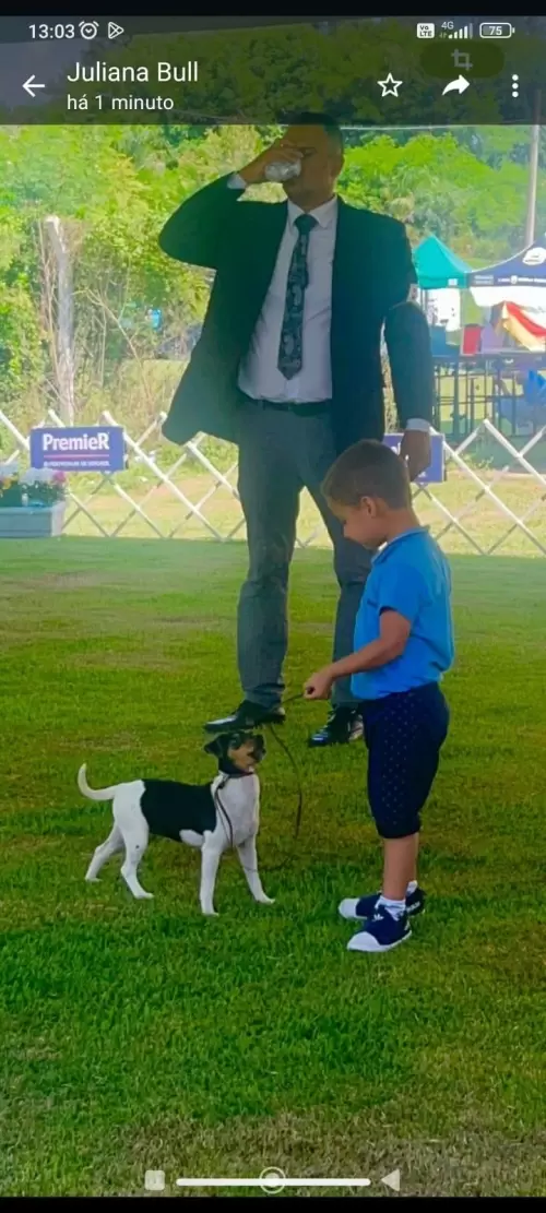 FILHOS EM AÇÃO