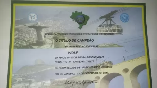 Títulos