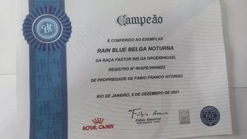 Títulos