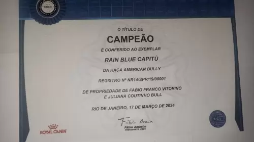 Títulos