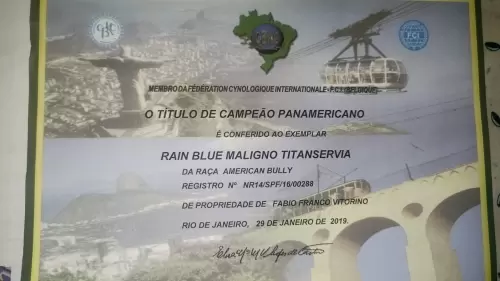 Títulos