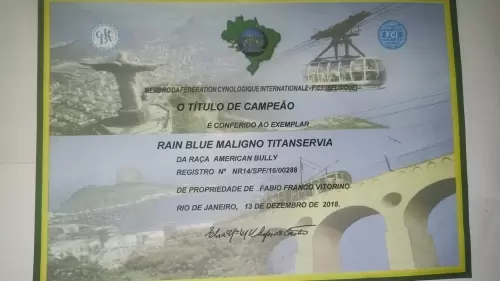 Títulos