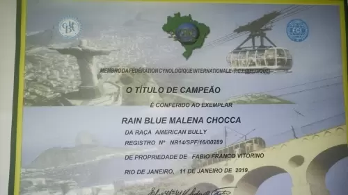 Títulos