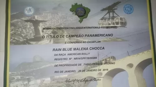 Títulos