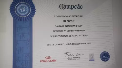 Títulos