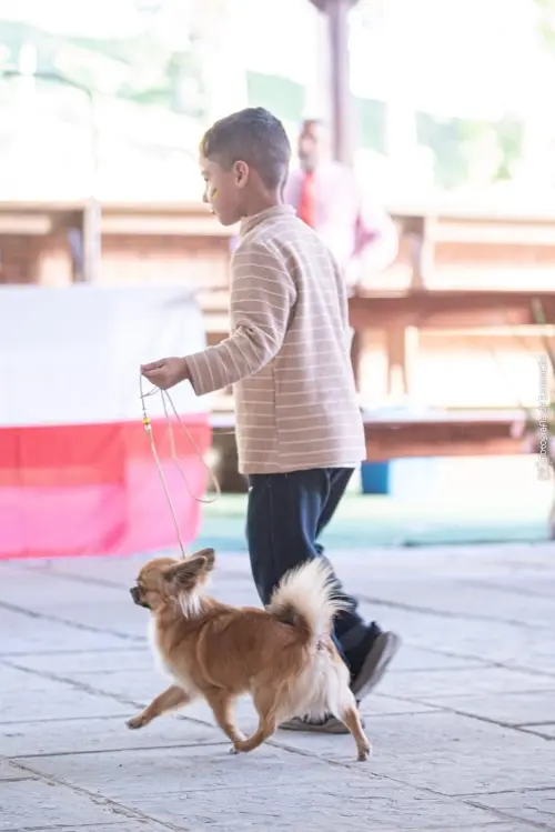 FILHOS EM AÇÃO