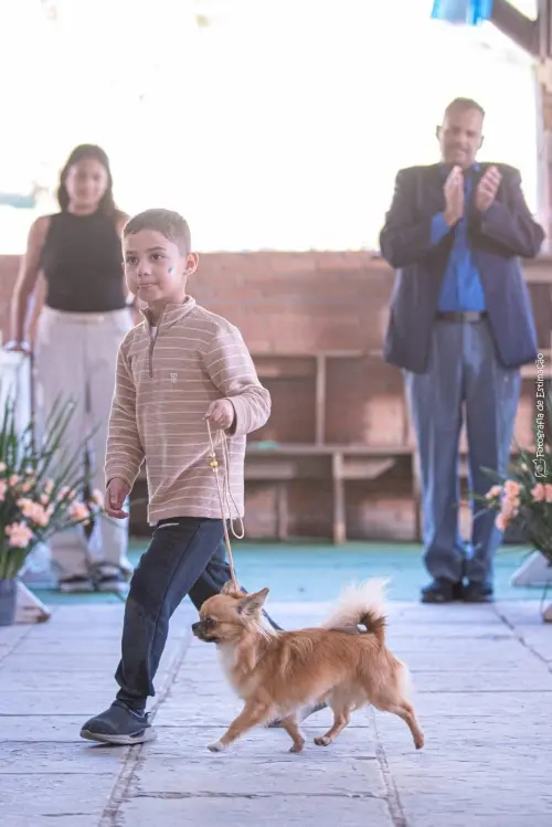 FILHOS EM AÇÃO